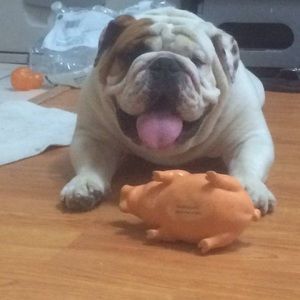 Meet your Posher, Peter